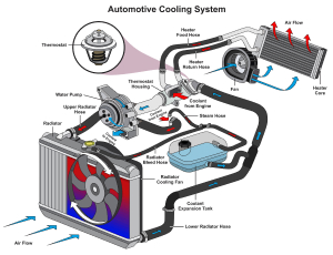 Cooling System | Sevan Motorworx